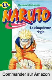 Naruto roman  volume 13