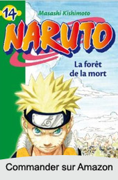 Naruto roman  volume 14