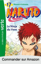 Naruto roman  volume 17