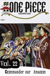 One piece manga volume 22