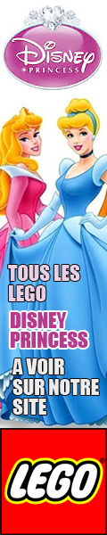Lego princesse Disney